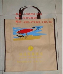 �o���V���