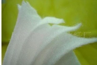 �����(ᘴ̣�