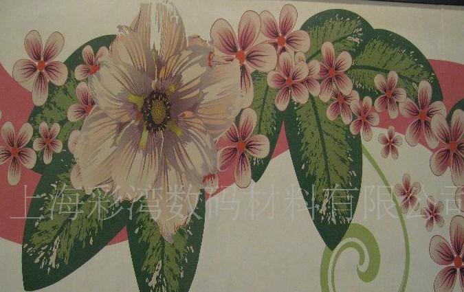 ����(y��ng)ˇ�g(sh��)�����l���������沼���w�S��