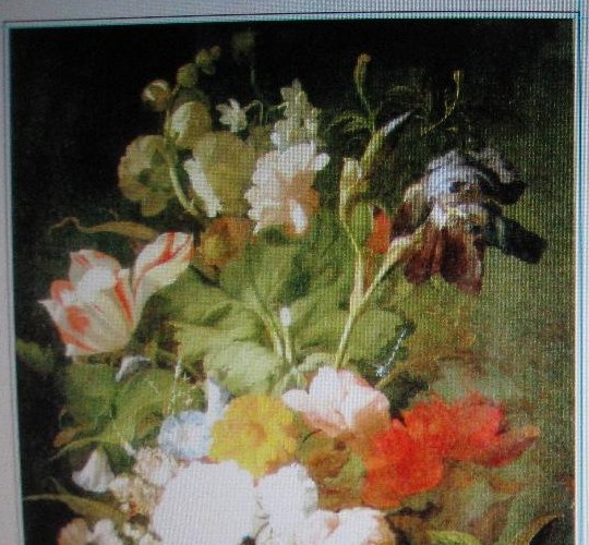 ����(y��ng)�߹⼃���ͮ���