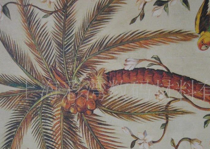 ����(y��ng)���鮋�����o����