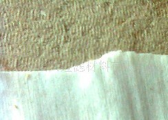 һ���Բ��_��