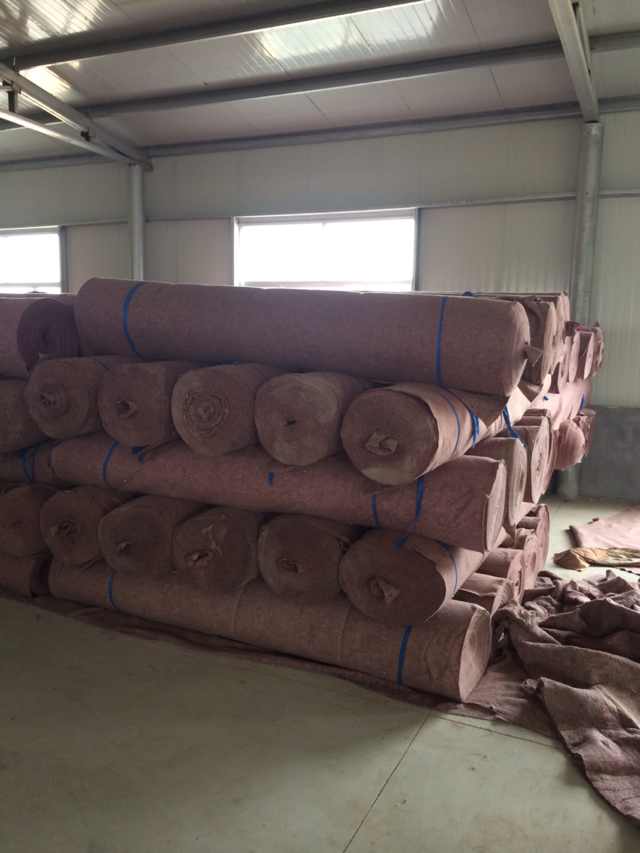 ��ɫᘴ̟o���� ����o����