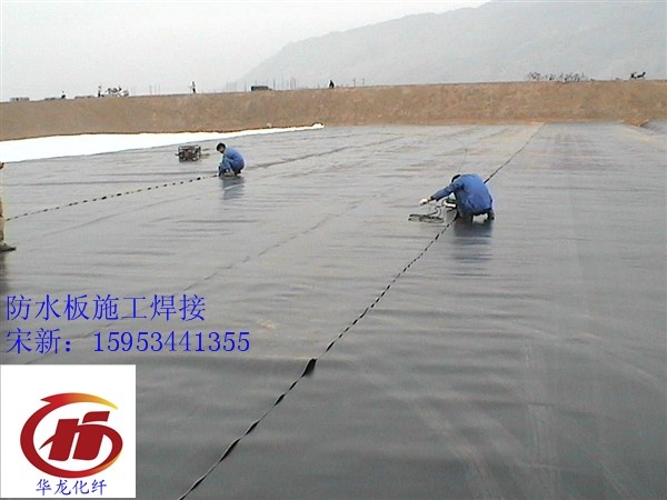 ����Ĥ�S�� ����