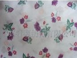 ӡ���o����