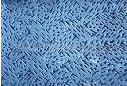 ���]�ۇ��o����