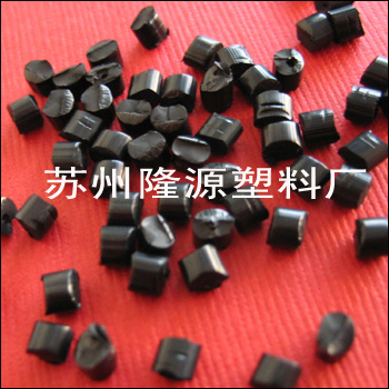 PP�o���������w�� 