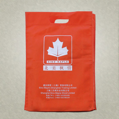 ���ݟo������