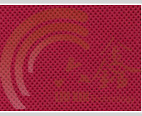 �t(y��)��SMS�o(w��)����