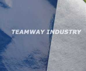 ��Ĥ�o����