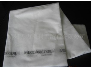 �t(y��)�ô�����һ���Դ���