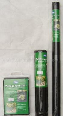 �@ˇ���ݲ�