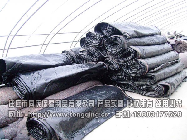 ���걣�ر�