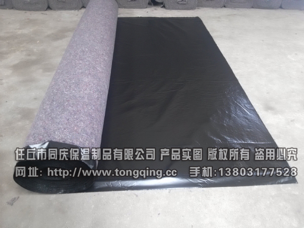 ����(y��ng)��Ĥë��