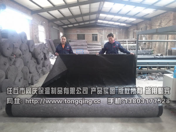 ���a(ch��n)��Ĥë��