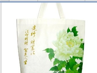 ӡ���o������