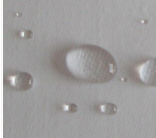 729��Ĥ�V��/729���m�V��