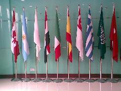 �B�T�V����ö������S�ң��B�T����춨����