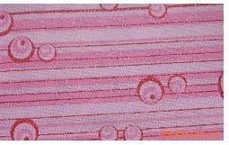 �ռ{�Пo����/���b������