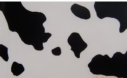 �����y��Ĥӡ���o����