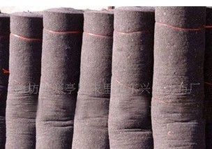 ᘴ̟o(w��)���� �Nֲ�o(w��)����