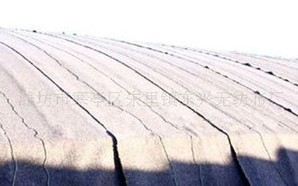 �߲˜��Ҵ���|���Ҵ���