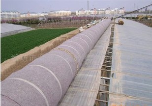 �o�������߲˜��Ҵ���o����