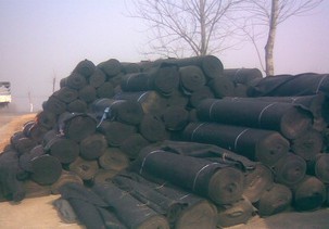 �����ßo(w��)���� �o(w��)����