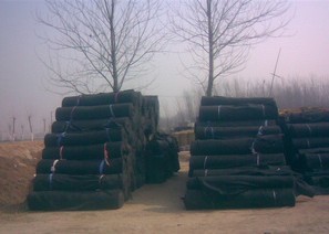 �o(w��)����ë��