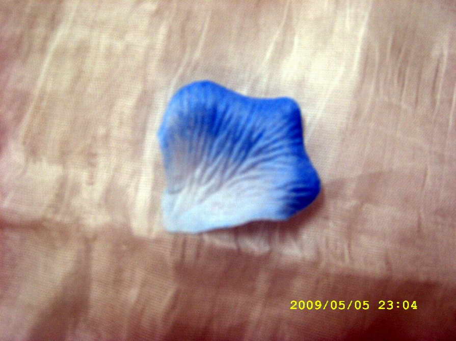 ��ُ(g��u)���ٻ��ğo(w��)����