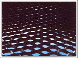 �^������������l(f��)��(y��u)�� �x�о����w�S����