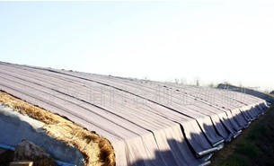 ���Ҵ���ßo����