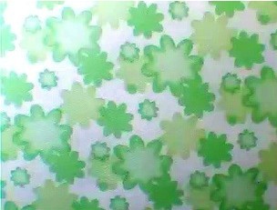 ӡ���o(w��)����