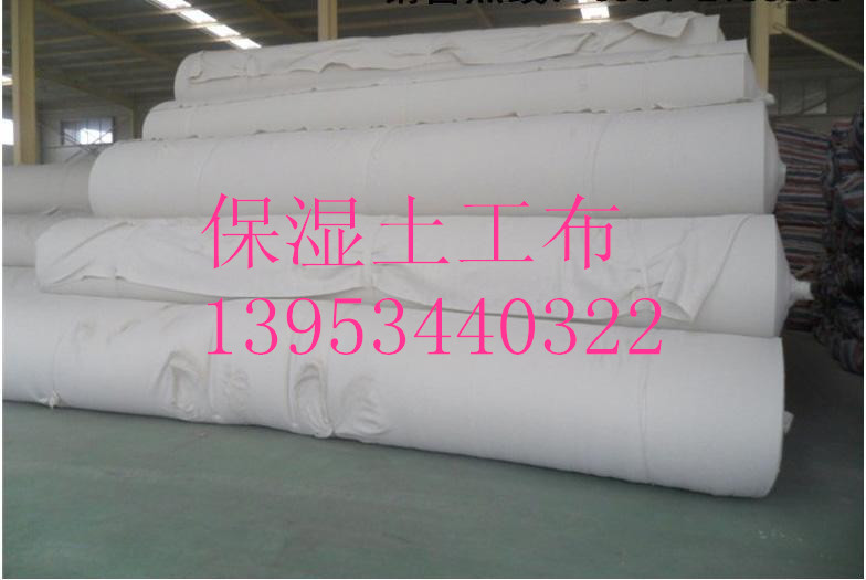 ����200�˱��������� �؏�ʹ�õ�������