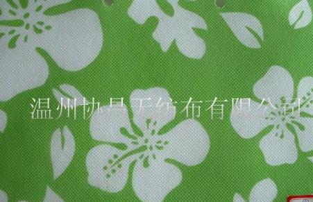 ӡ���o����