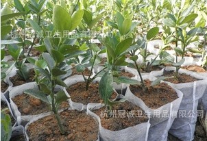 �r(n��ng)�ßo(w��)����