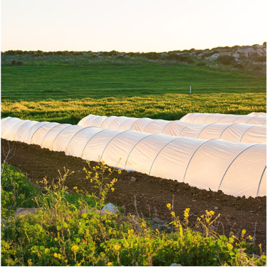 �����PP�o����