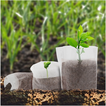 ���������PP�o����