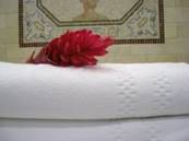 �ذ׿������