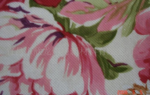 ���D(zhu��n)��ӡ���o����