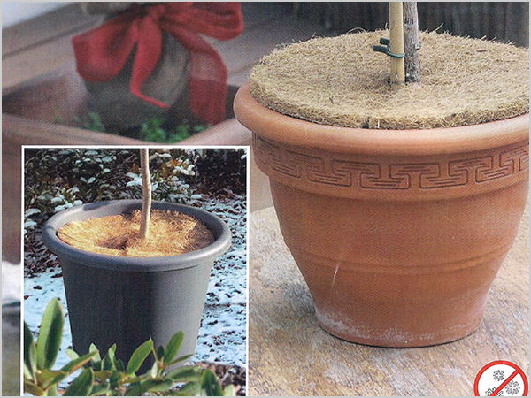 �����o(h��)��-�@ˇ�Nֲ��