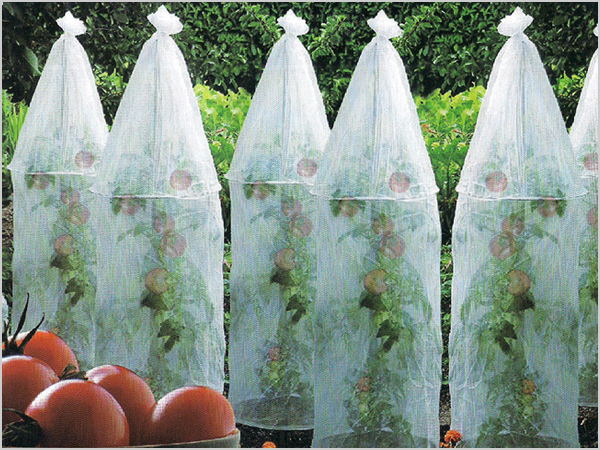 ��������x��