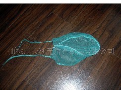 �o(w��)�����t(y��)��ñ