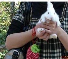 ��ݮ�h(hu��n)��ُ(g��u)���