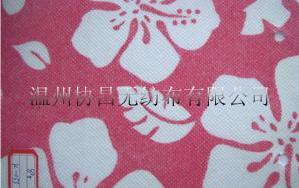 ӡ���o����