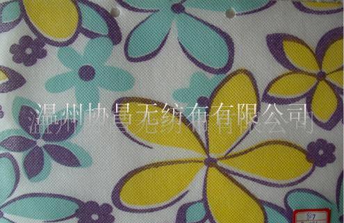 PPӡ���o(w��)����