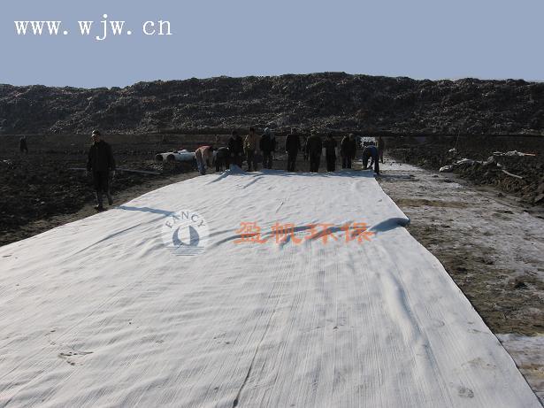 ӯ������������·�F·����������ᘴ�������