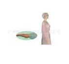 �o�������x��