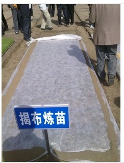 ������o(w��)����