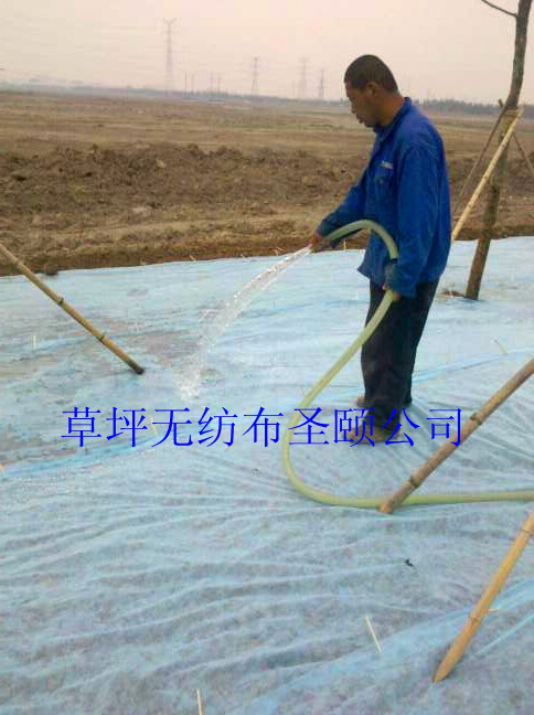 ���ʥ�U��ƺ�o(w��)�����N����Ϣ������ƺ�o(w��)����